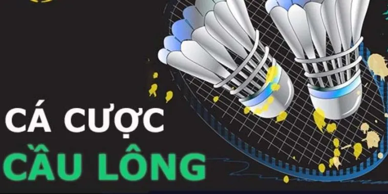 Cá Cược Cầu Lông Tại B29: Hành Trang Cho Người Mới Bắt Đầu